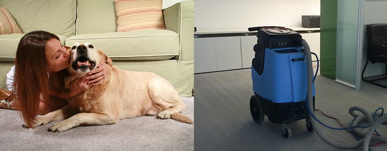 Professional Cleaning Services Professional Cleaning Services